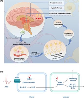 Modulating oxidative stress and neurogenic inflammation: the role of topiramate in migraine treatment